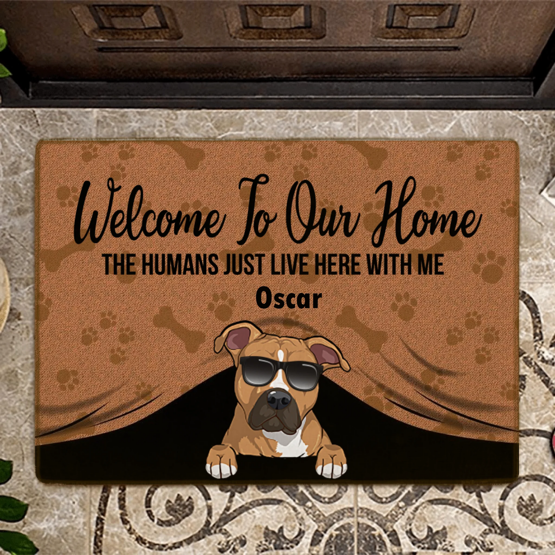 61761ea8d6e31_large