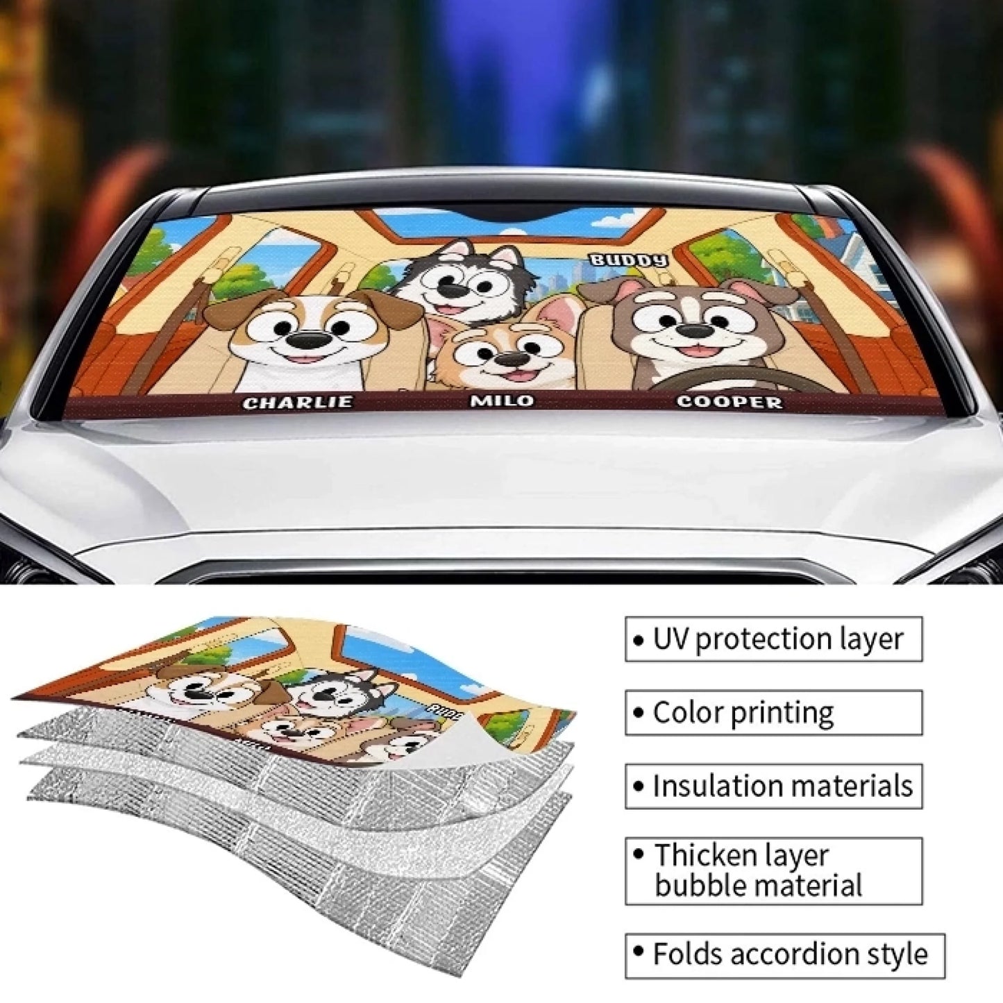 6a213ed264452_large